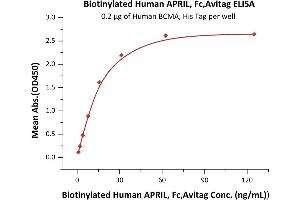 Immobilized Human BCMA, His Tag (ABIN4949075,ABIN4949076) at 2 μg/mL (100 μL/well) can bind Biotinylated Human APRIL, Fc,Avitag (ABIN6731326,ABIN6809916) with a linear range of 1-20 ng/mL (QC tested).