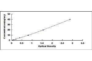 Typical standard curve