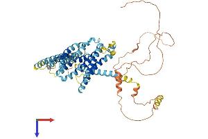 AlphaFold protein structure predicition of Mouse Recombinant Tmem184c Protein, UniprotID Q3TPR7