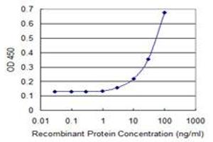 Detection limit for recombinant GST tagged UGT1A3 is 1 ng/ml as a capture antibody. (UGT1A3 anticorps  (AA 30-129))