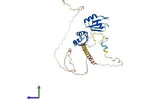 AlphaFold protein structure predicition of Human Recombinant RBM4 Protein, UniprotID Q9BWF3