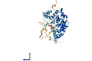 AlphaFold protein structure predicition of Mouse Recombinant Gcnt7 Protein, UniprotID Q3V3K7