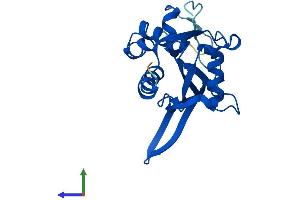 AlphaFold protein structure predicition of Mouse Recombinant Nudt14 Protein, UniprotID Q9D142