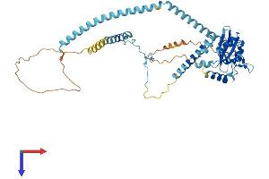 AlphaFold protein structure predicition of Human Recombinant SH2D4A Protein, UniprotID Q9H788