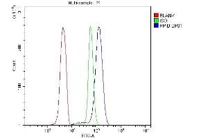 Flow Cytometry analysis of U937 cells using anti-Cyclophilin B antibody (ABIN5519055).