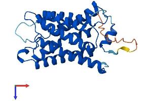 Mip (AA 1-263) protein (His tag)