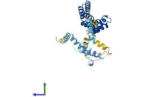 AlphaFold protein structure predicition of Human Recombinant SGTB Protein, UniprotID Q96EQ0