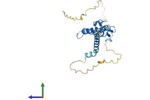 AlphaFold protein structure predicition of Mouse Recombinant Dnajc30 Protein, UniprotID P59041