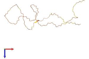 AlphaFold protein structure predicition of Human Recombinant KRTAP13-4 Protein, UniprotID Q3LI77