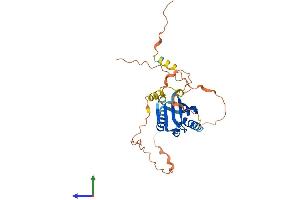 AlphaFold protein structure predicition of Human Recombinant C6orf136 Protein, UniprotID Q5SQH8