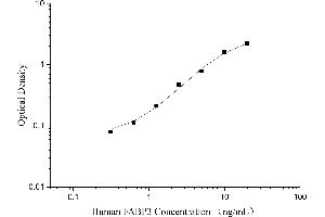 Typical Standard Curve