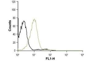 Cell surface detection of CXCR4 in human Jurkat intact live cells: (black line) Unstained cells.
