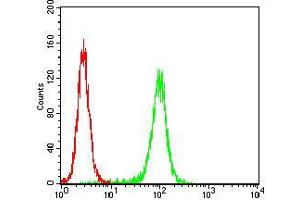 Flow cytometric analysis of Hela cells using EIF5A mouse mAb (green) and negative control (red).