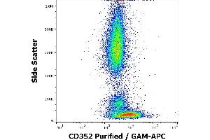 Flow cytometry surface staining pattern of human peripheral whole blood stained using anti-human CD352 (hsF6. (SLAMF6 anticorps)