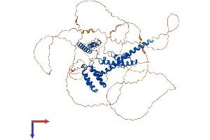AlphaFold protein structure predicition of Human Recombinant DAXX Protein, UniprotID Q9UER7