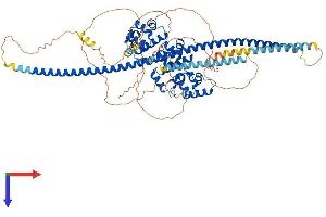 AlphaFold protein structure predicition of Mouse Recombinant Kazn Protein, UniprotID Q69ZS8
