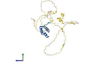 AlphaFold protein structure predicition of Mouse Recombinant Gsx2 Protein, UniprotID P31316