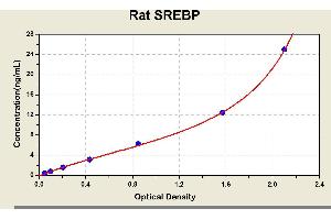 Diagramm of the ELISA kit to detect Rat SREBPwith the optical density on the x-axis and the concentration on the y-axis. (Sterol Regulatory Element Binding Proteins Kit ELISA)