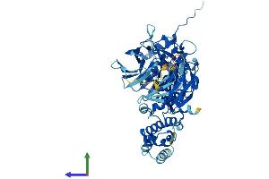 AlphaFold protein structure predicition of Mouse Recombinant Ccin Protein, UniprotID Q8CDE2