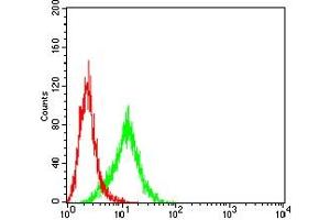 Flow cytometric analysis of A431 cells using KRT13 mouse mAb (green) and negative control (red).
