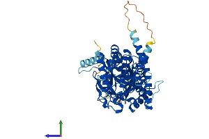 AlphaFold protein structure predicition of Human Recombinant FTO Protein, UniprotID Q9C0B1