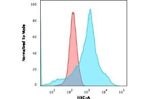 Flow Cytometric Analysis of K562 cells using LMO2 Mouse Monoclonal Antibody (LMO2/1971) followed by goat anti-Mouse IgG-CF488 (Blue); Isotype Control (Red)
