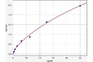 Typical standard curve (Retinoid X Receptor beta Kit ELISA)