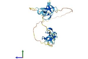AlphaFold protein structure predicition of Mouse Recombinant Crip2 Protein, UniprotID Q9DCT8