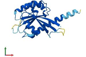 AlphaFold protein structure predicition of Mouse Recombinant Ift22 Protein, UniprotID Q9DAI2