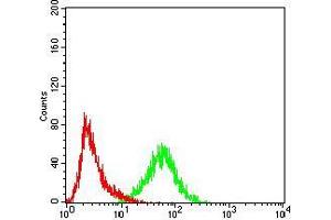 Flow cytometric analysis of Hela cells using KPNA2 mouse mAb (green) and negative control (red).