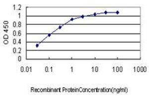 Detection limit for recombinant GST tagged HYOU1 is approximately 0.
