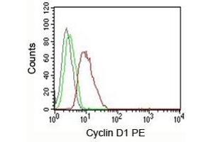 FACS testing of MCF-7 cells: Black=cells alone; Green=isotype control; Red=Cyclin D1 antibody PE conjugate (V2006PE) (Cyclin D1 anticorps)