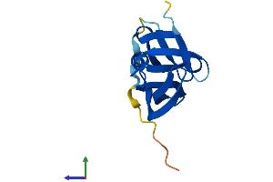 AlphaFold protein structure predicition of Human Recombinant YPEL1 Protein, UniprotID O60688