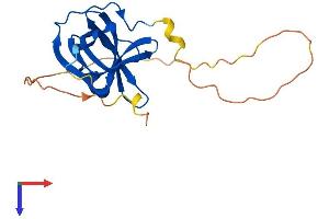 AlphaFold protein structure predicition of Mouse Recombinant Nabp1 Protein, UniprotID Q8BGW5