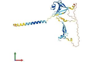 AlphaFold protein structure predicition of Mouse Recombinant Tnmd Protein, UniprotID Q9EP64