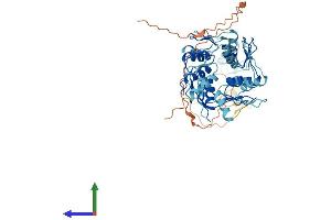 AlphaFold protein structure predicition of Human Recombinant ZNF83 Protein, UniprotID P51522