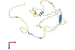 AlphaFold protein structure predicition of Mouse Recombinant Cdca5 Protein, UniprotID Q9CPY3