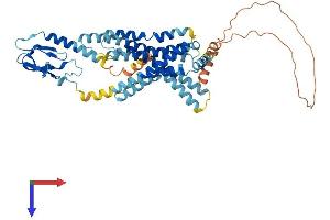AlphaFold protein structure predicition of Mouse Recombinant Glp2r Protein, UniprotID Q5IXF8