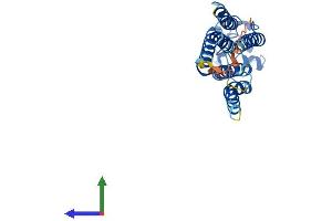 AlphaFold protein structure predicition of Mouse Recombinant Plpp2 Protein, UniprotID Q9DAX2