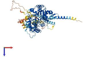AlphaFold protein structure predicition of Human Recombinant PPEF1 Protein, UniprotID O14829