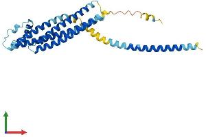 AlphaFold protein structure predicition of Mouse Recombinant Stx1b Protein, UniprotID P61264