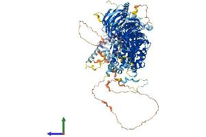 AlphaFold protein structure predicition of Mouse Recombinant Rptor Protein, UniprotID Q8K4Q0