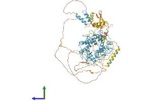 AlphaFold protein structure predicition of Human Recombinant ZBTB17 Protein, UniprotID Q13105