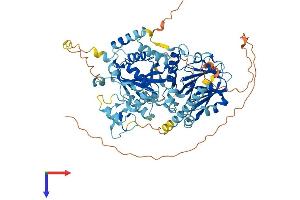 AlphaFold protein structure predicition of Human Recombinant NOA1 Protein, UniprotID Q8NC60