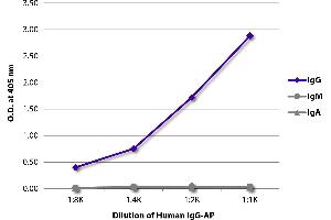 ELISA plate was coated with Goat Anti-Human IgG-UNLB was captured and quantified.
