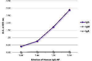 ELISA plate was coated with Goat Anti-Human IgG-UNLB was captured and quantified. (Human IgG isotype control (Alkaline Phosphatase (AP)))