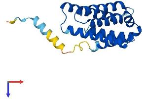 AlphaFold protein structure predicition of Human Recombinant TNFAIP8L2 Protein, UniprotID Q6P589