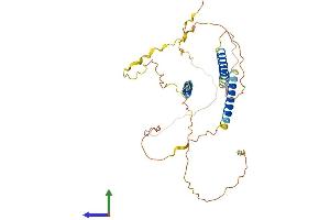 AlphaFold protein structure predicition of Human Recombinant C21orf58 Protein, UniprotID P58505