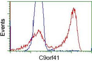 HEK293T cells transfected with either RC205116 overexpress plasmid (Red) or empty vector control plasmid (Blue) were immunostained by anti-C9orf41 antibody (ABIN2452872), and then analyzed by flow cytometry.