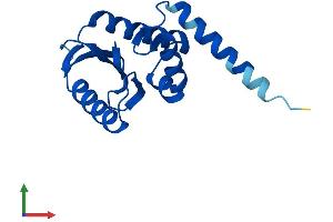 AlphaFold protein structure predicition of Mouse Recombinant Ap1s3 Protein, UniprotID Q7TN05